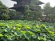 かおるちゃんさんの信州善光寺 薬王院への投稿写真2