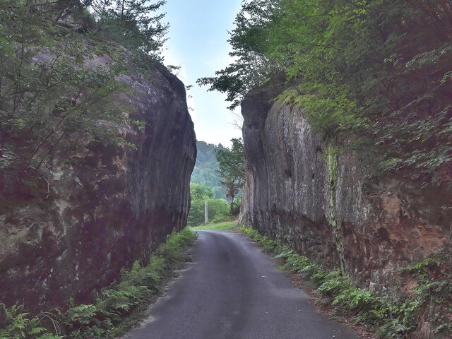 sklfhさんの切通しの投稿写真1