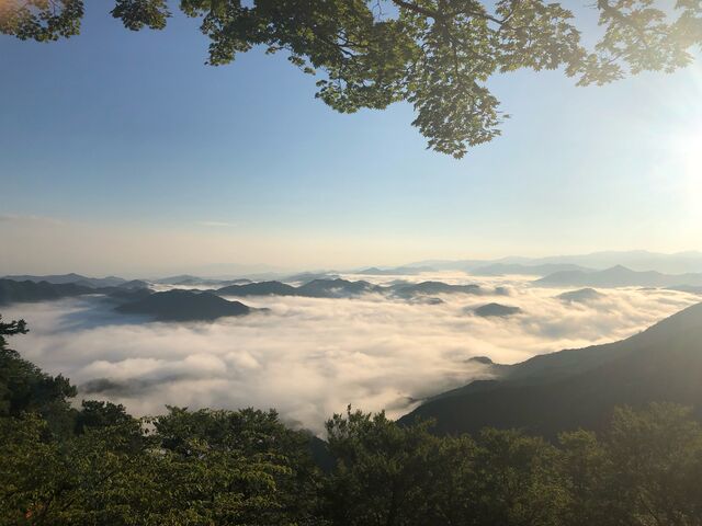 朝7:00の雲海です_雲海