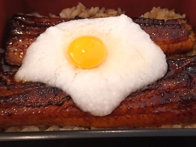 月見とろろうな重_近江鰻処 うな松