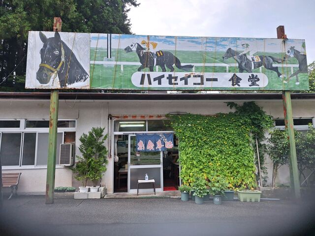味のある素敵な佇まい_ハイセイコー食堂