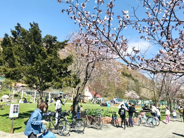 ポケモンのドン・ファンさんの栗山公園の投稿写真2