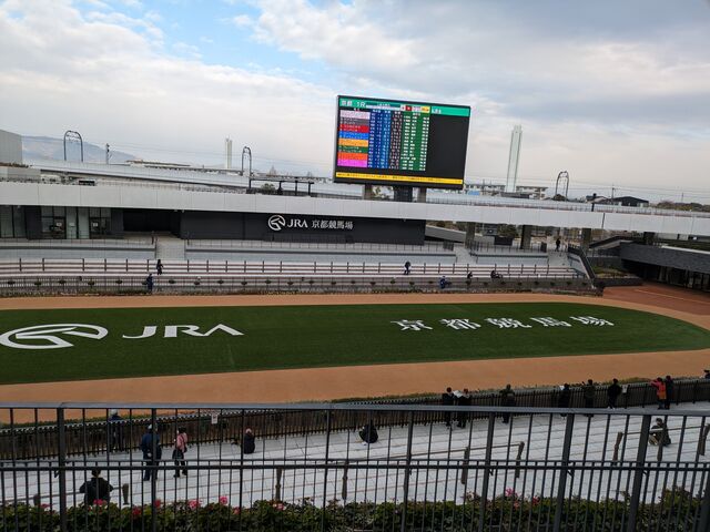 パドック_京都競馬場