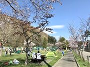 ポケモンのドン・ファンさんの栗山公園の投稿写真1