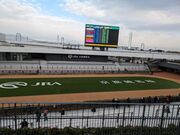 ゆん。さんの京都競馬場の投稿写真1