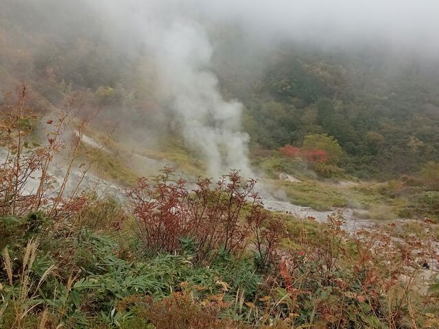 仙気の湯はもうすぐ!_白馬岳蓮華温泉ロッジ