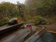きょうこさんの白馬岳蓮華温泉ロッジの投稿写真3