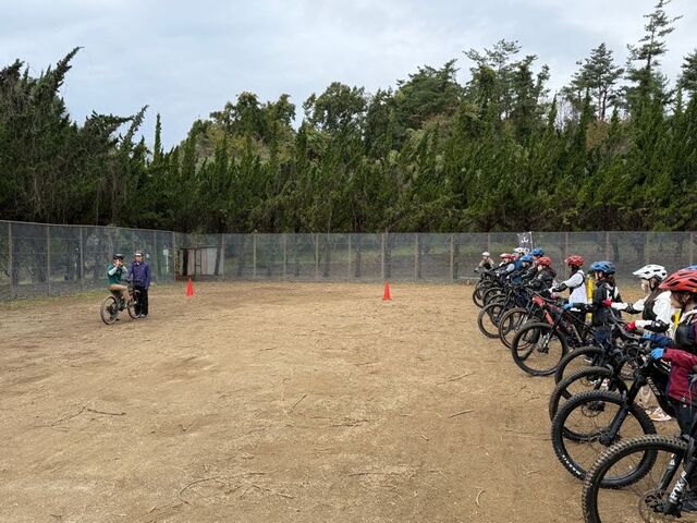 すなけんさんの市川公園の投稿写真4
