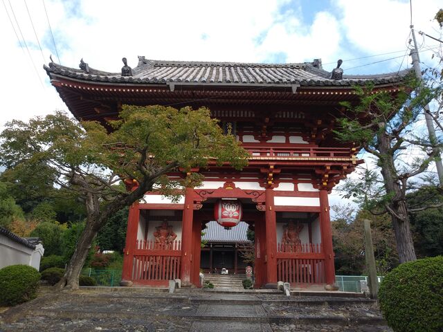 花天井で有名な仁王門。_宝塔寺