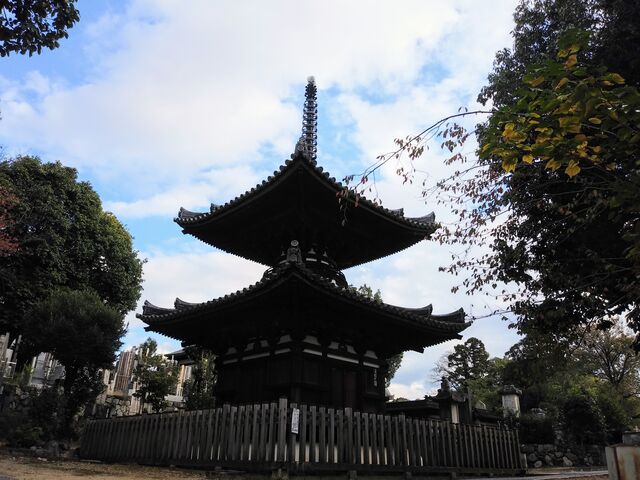 ずらりと美しい多宝塔。_宝塔寺