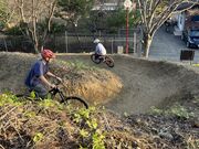 すなけんさんの市川公園の投稿写真2