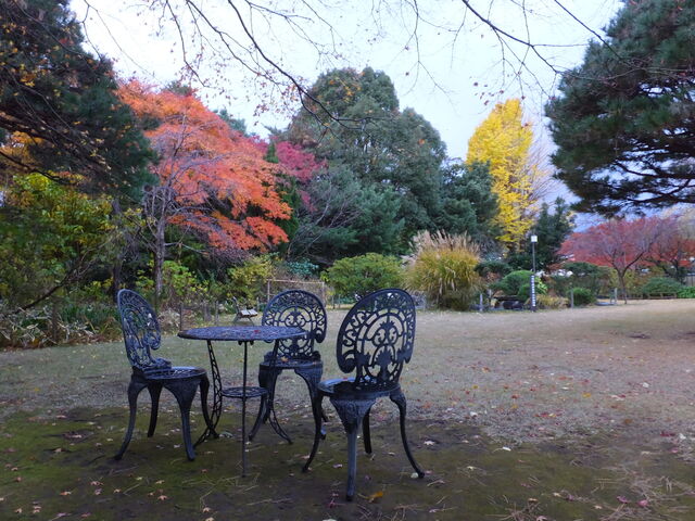 僅かに残った紅葉_小田原文学館・白秋童謡館