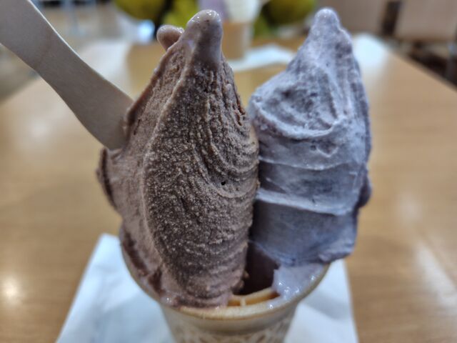 チョコレートとブルーベリーのダブル_道の駅うご 端縫いの郷