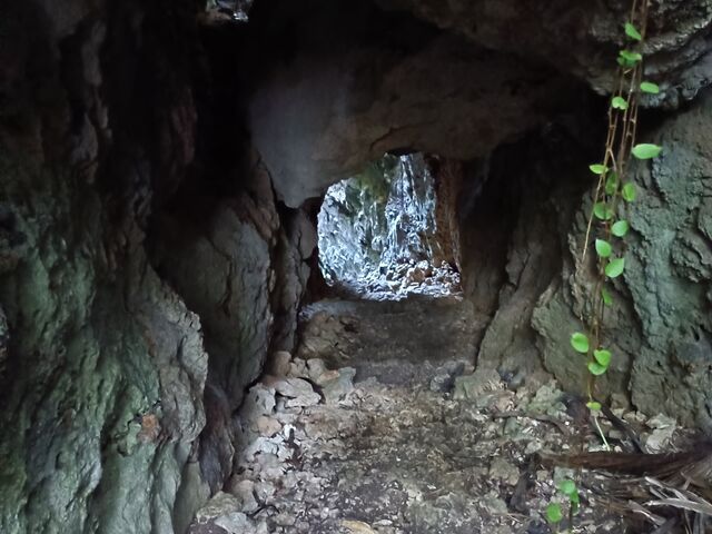 一部トンネル状になっています。_バリバリ岩