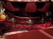 K2さんの花の投稿写真2