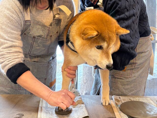 肉球ぎゅぎゅ(^^)_陶芸体験 亀工房