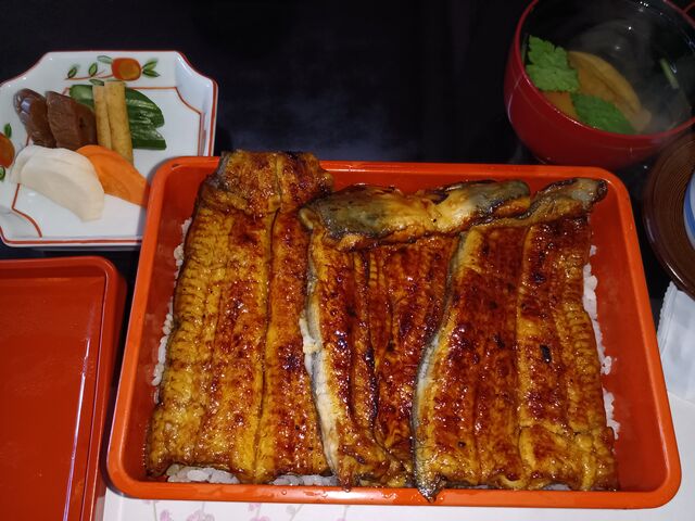 美味しいうなぎ_駿河屋
