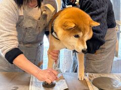 陶芸体験 亀工房の写真1