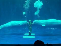 島根県立しまね海洋館(アクアス)の写真1