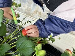 JA紀の里の写真1