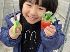 JA紀の里の写真2