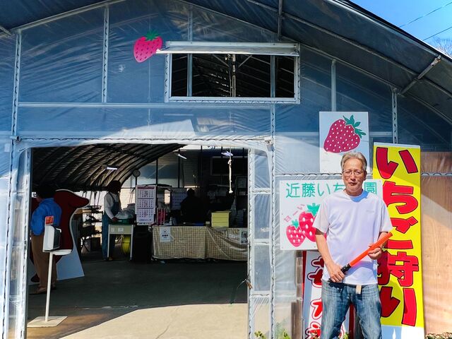 係の方がご親切にいちご園を説明して下さり、ありがとうございました。_近藤いちご園
