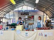 イザベラさんの近藤いちご園の投稿写真5