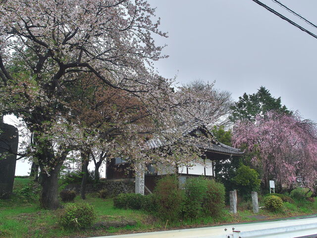 sklfhさんの本郷埴輪窯址の投稿写真1