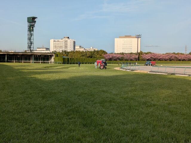 芝コース_中京競馬場