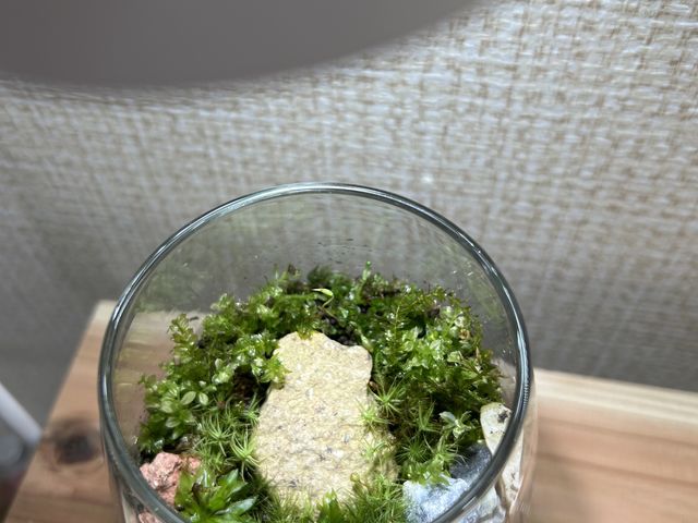 上から_アトリエWindwing