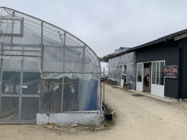 ハウスは2棟あります_Farm おかよし