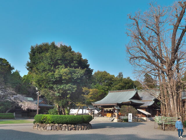 健軍神社_健軍神社