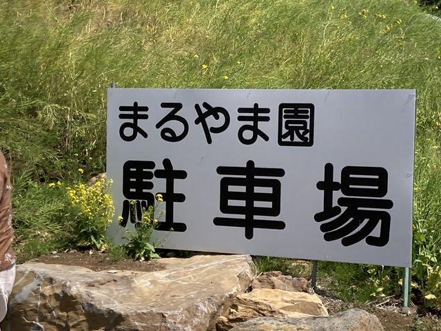 駐車場_まるやま園