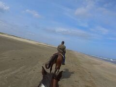 サンシャインステーブルスの写真2