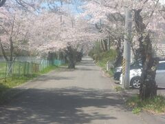じゃいあんさんの岳温泉への投稿写真1