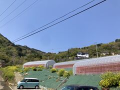 ナカフィさんのまるやま園への投稿写真1