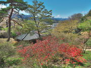 sklfhさんの宮崎公園の投稿写真1