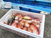 take3さんの有限会社はるひら丸の投稿写真3