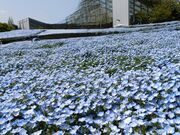 ふーちゃんの父さんのるるパーク(大分農業文化公園)の投稿写真1