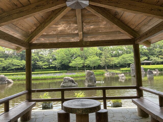 諏訪公園_諏訪公園