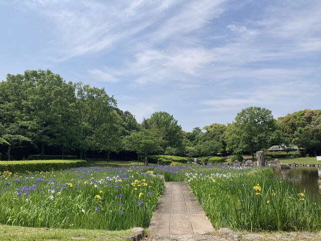 諏訪公園_諏訪公園