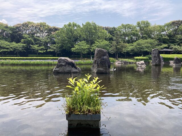 諏訪公園_諏訪公園