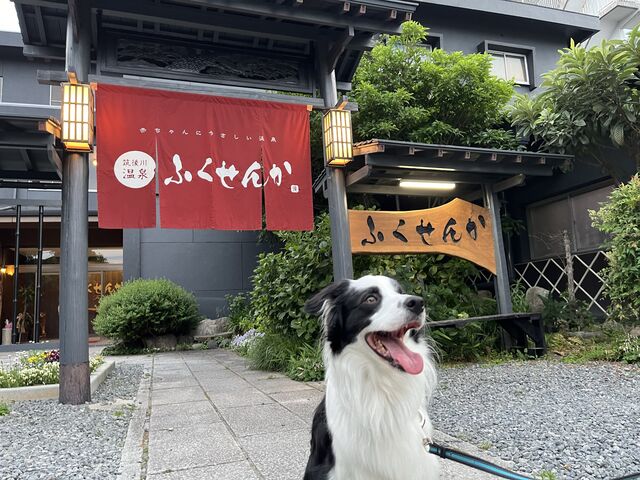 ワンコと初めてのお泊まり_筑後川温泉