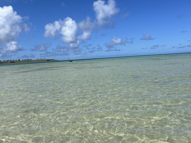 きれいな海です_やーるーくらぶ
