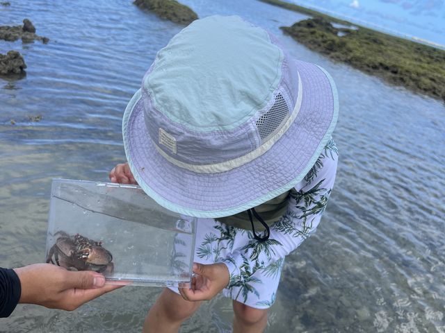 カニを観察しています_やーるーくらぶ