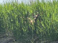 レイクサイドとうろの写真1