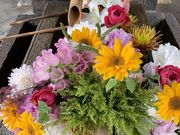 まちゃちゃんさんの勝林寺の投稿写真1