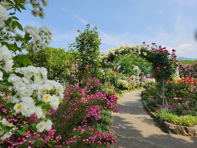 ワクワクする散歩道_一本木公園