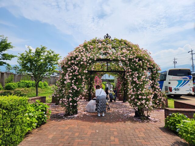 パーゴラ_一本木公園