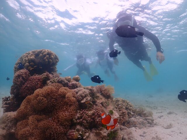 ニモも他の魚も沢山あえました!_元気玉